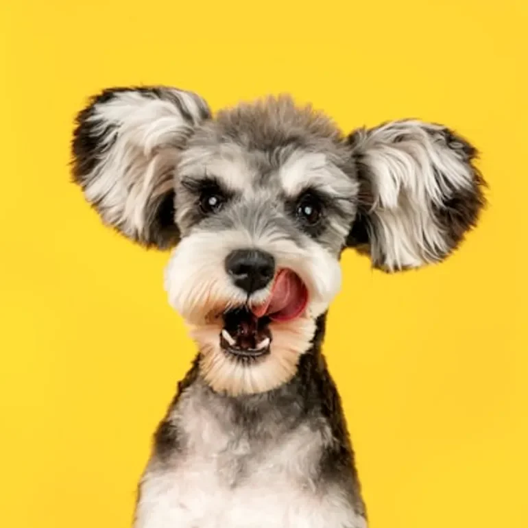 🐶 Dogs and Their Evolution: 🐶 Dogs and Their Evolution: