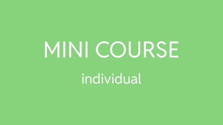 MINI COURSE 3