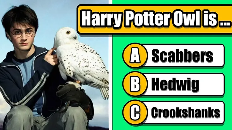 Harry Potter Quiz — Учим английский с Гарри Поттер
