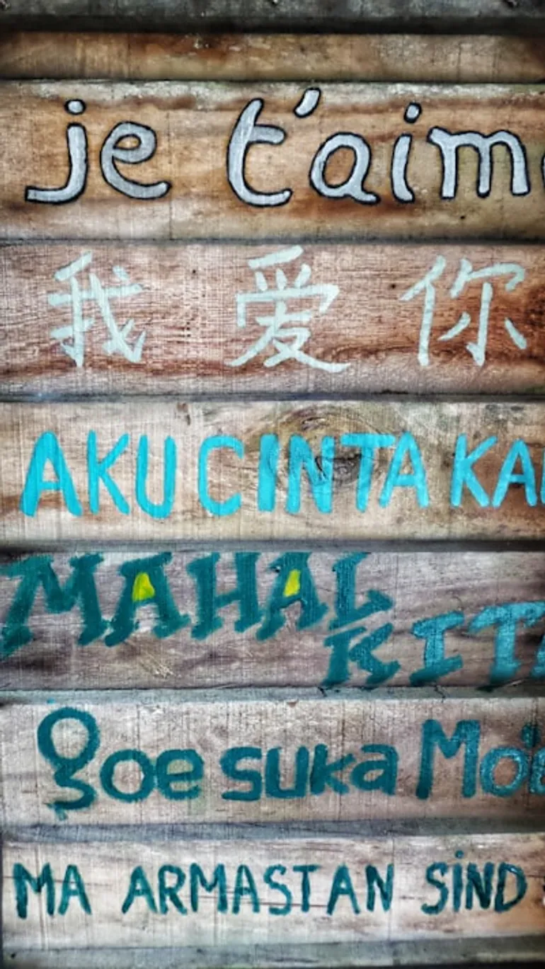 Japanese Language for Beginners