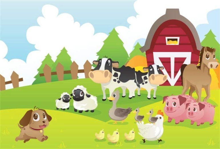 Farm Animals for Children