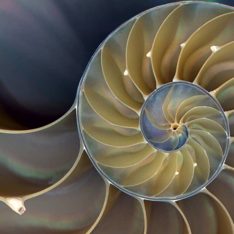 Facts about phi, the golden ratio. Facts about phi, the golden ratio.