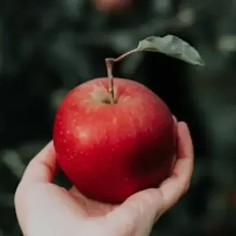 Fruits and vegetables in English Fruits and vegetables in English