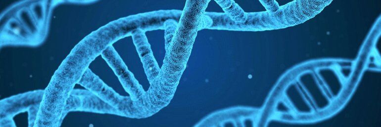 Biology Practice Test #1